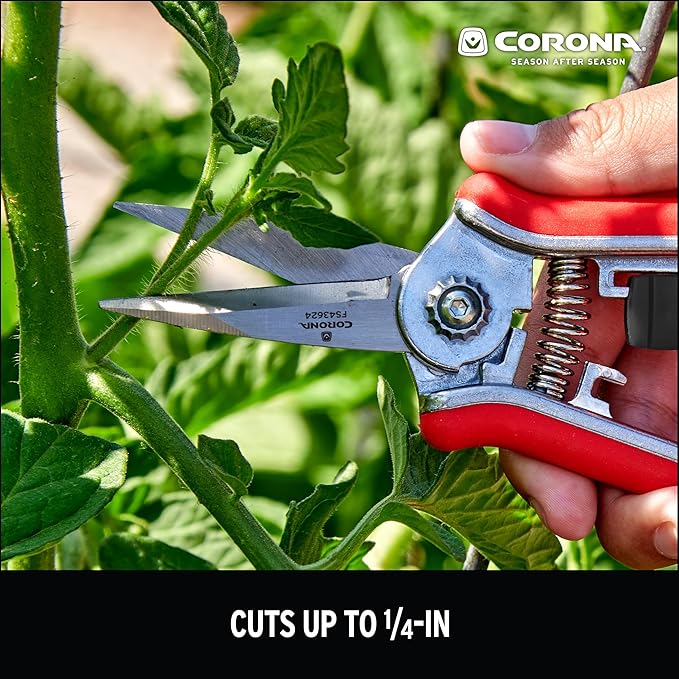Corona Tools FS43623 Yard Essentials Mini Floral Snips, Red