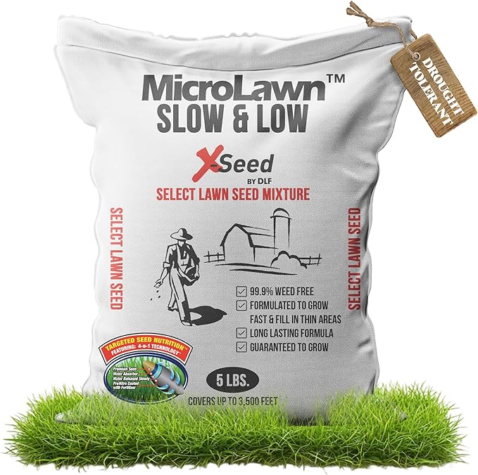 X-Seed Micro-Lawn Slow & Low Grass Seed for Cool Season Lawns, No Mow Natural Areas, Sun to Full Shade, Slow and Low Growing Micro Clover, Creeping Red Fescue, Intermediate Ryegrass, Starter Bag, 5LB