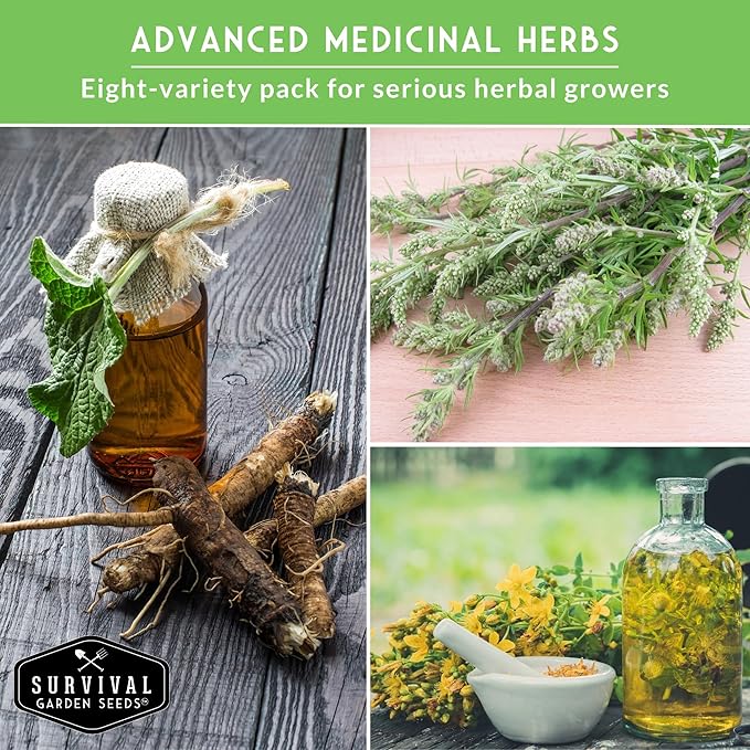 Advanced Medicinal Herb Seeds Collection – 8 Variety Pack for Planting with Comfrey, Mullein, St John’s Wort, Valerian, Mugwort – Heirloom Apothecary Herbalist Bundle by Survival Garden Seeds
