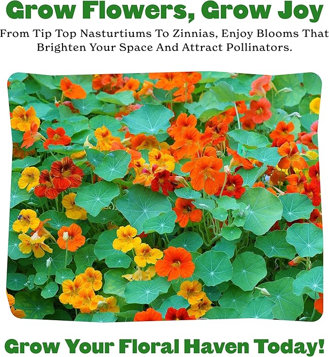 Epic Gardening Flower Garden Seed Collection - 5 Stunning Varieties, Includes Sunflowers, Zinnias, Nasturtiums & More, Brighten Your Garden with Blooms That Attract Pollinators Like Bees & Butterflies