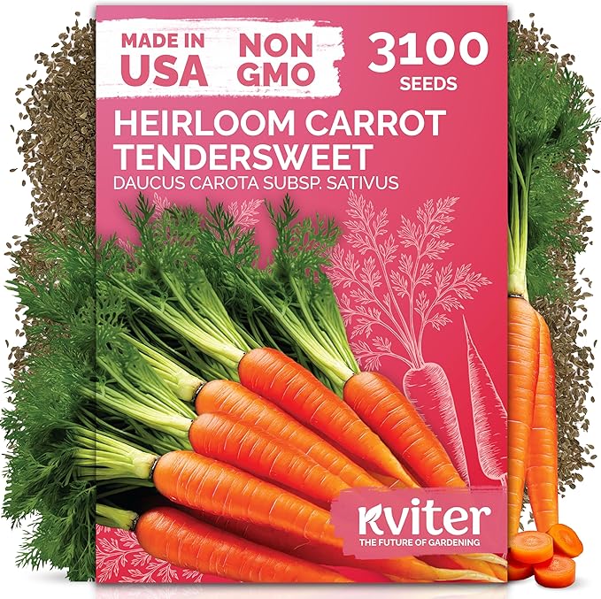 KVITER 3100 Tendersweet Carrot Seeds for Planting (Daucus carota) –Non GMO Vegetable Seeds for Outdoor Garden – Sweet Heirloom Carrots – Carrot Seed Packets for Home Garden, Beds, Containers