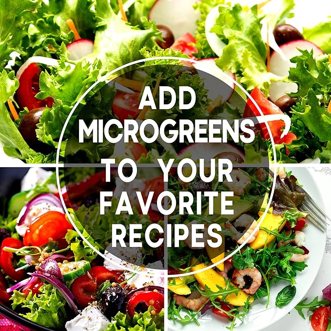 Starter Seed Kit: 15,000+ Seeds, 40 Heirloom Fruit & Vegetable Varieties – Perfect Gardening Gift - Planting Instructions - Indoors, Outdoors, or Hydroponically