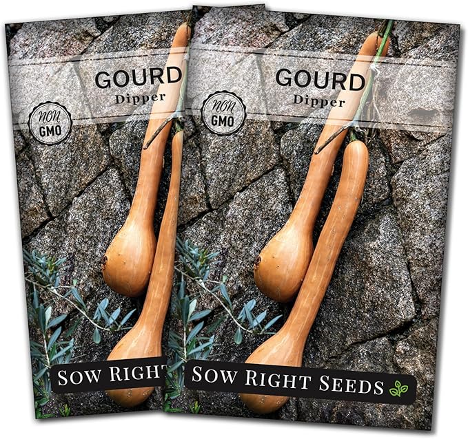 Sow Right Seeds - Dipper Gourd Seeds for Planting - Non-GMO Heirloom Packet with Instructions to Plant and Grow an Outdoor Home Vegetable Garden - Ornamental Craft Gourd - Rare & Unique (2)