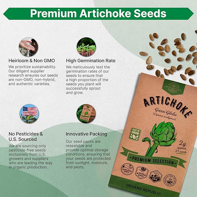 Green Globe Artichoke Seeds Pack 2G - Over 35 of Non-GMO Heirloom Artichoke Seeds for Planting Vegetables in Individual Seed Packet, Vegetable Seeds for Planting Home Garden Indoor & Outdoor Gardening