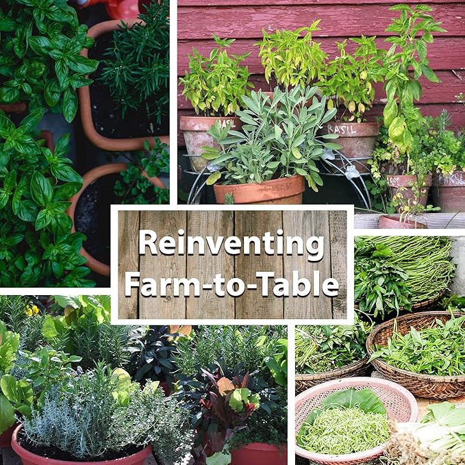 Medicinal & Herbal Tea Indoor Herb Garden Starter Kit - Deluxe Herb Seeds - 12 Varieties: Chamomile, Hot Pepper, Basil, Sage, Rosemary, Thyme, Lavender, Echinacea, Borage, Peppermint, & Yarrow
