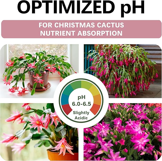 Premium Christmas Cactus Soil – Organic, Nutrient-Rich, Optimal-Draining Potting Mix for Schlumbergera – Promotes Healthy Roots, Balanced Moisture & Vibrant Blooms – Ready to Use (4 QTS)