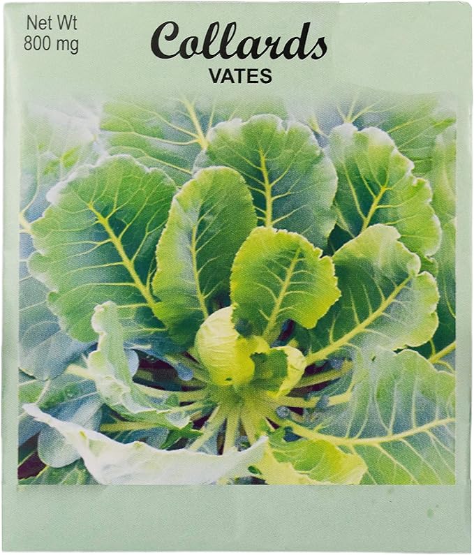 Set of 25 Collards- Vates Vegetable Seed Packs - 100% GMO Free - Heirloom - Black Duck Brand (25, Collards- Vates)