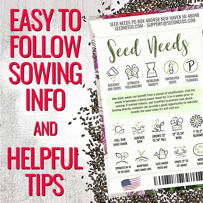 Seed Needs Panorama Mixed Bee Balm Seeds for Planting - Heirloom & Open Pollinated Perennial - Mixture of Colorful Flowers to Grow a Butterfly Garden (1 Pack)
