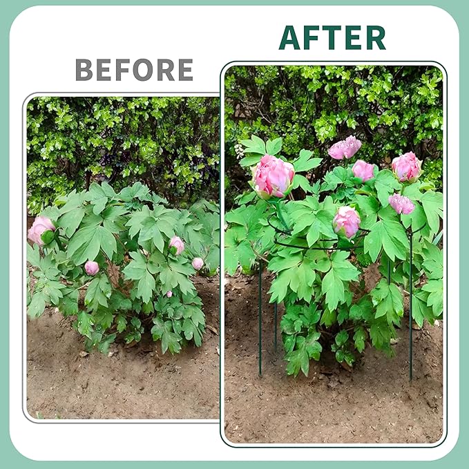 8 Sets Peony Support Cage,12"Diax24"High Heavy Duty Metal Plant Support,Grow Through Hoops Grids with 4 Thickened 4mm Legs,Strong Support Brace for Heavy Blossoms,Flower Support Ring for Peonies,Rose
