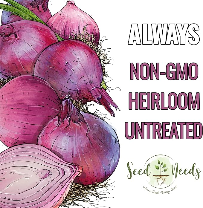 Seed Needs Onion Seeds for Planting Red Burgundy Short Day Onions - Non-GMO Heirloom & Untreated Vegetable Seeds to Plant an Outdoor Home Grown Veggie Garden