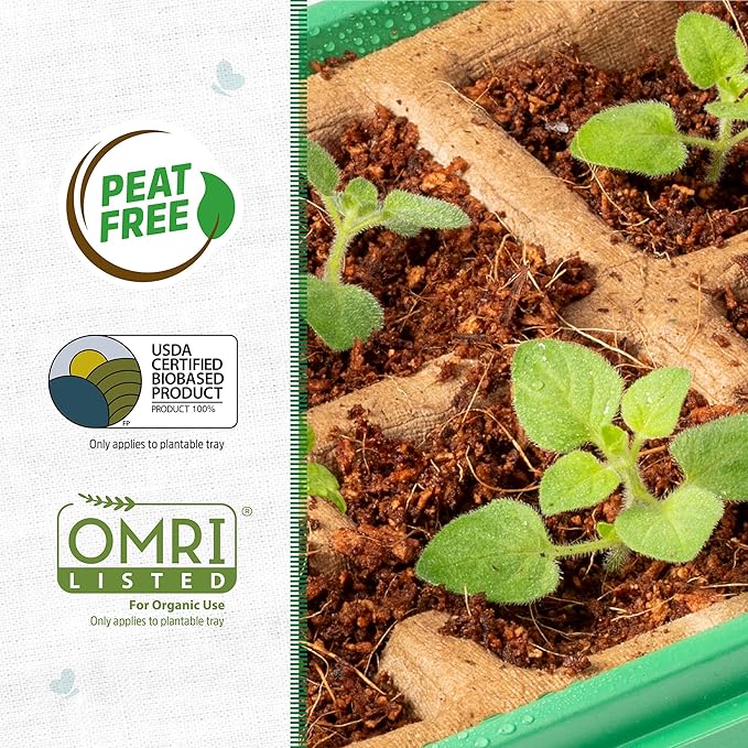 Back to The Roots 10-Cell Greenhouse Germination Kit | Includes Biodegradable Pots & Vented Greenhouse Lid | Made from 75% Recycled Plastic