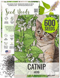 Seed Needs, Catnip Seeds for Cats - 600 Heirloom Seeds for Planting Nepeta cataria - Perennial Flowering Herb for Indoor Growing Non-GMO & Untreated (1 Pack)
