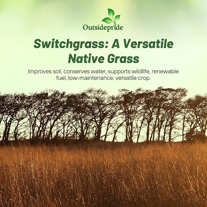 Outsidepride Switchgrass Seed - 5 lbs. Perennial Hardy, Drought & Flood Tolerant Native Grass Seed Ideal Fast-Growing Grasses for Erosion Control, Wildlife Forage & Food Plots, Thrives in Poor Soil
