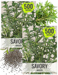 Seed Needs Winter Savory Seeds for Planting - Non-GMO Heirloom & Untreated Perennial Herb Seed to Plant a Culinary Kitchen Garden Indoors or Outdoors (2 Packs)