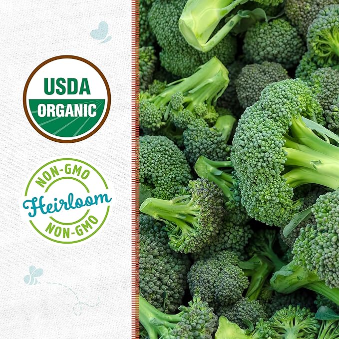 Back to The Roots 100% Organic Seed Packet - Broccoli 'Calabrese'