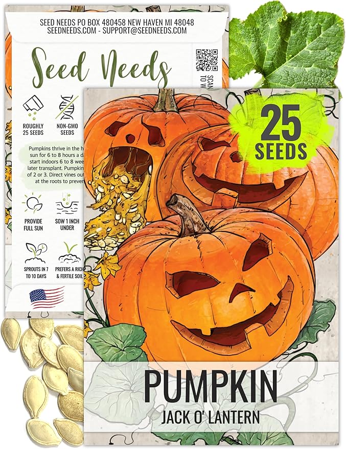 Seed Needs, Jack O' Lantern Pumpkin Seeds - 25 Heirloom Seeds for Planting Cucurbita Pepo - Non-GMO & Untreated, Great for Carving at Halloween (1 Pack)