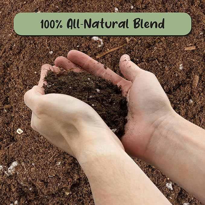 Soil Sunrise Plant Propagation Potting Mix (4 Quarts) Ideal Starter Mix for Rooting Plant Cuttings