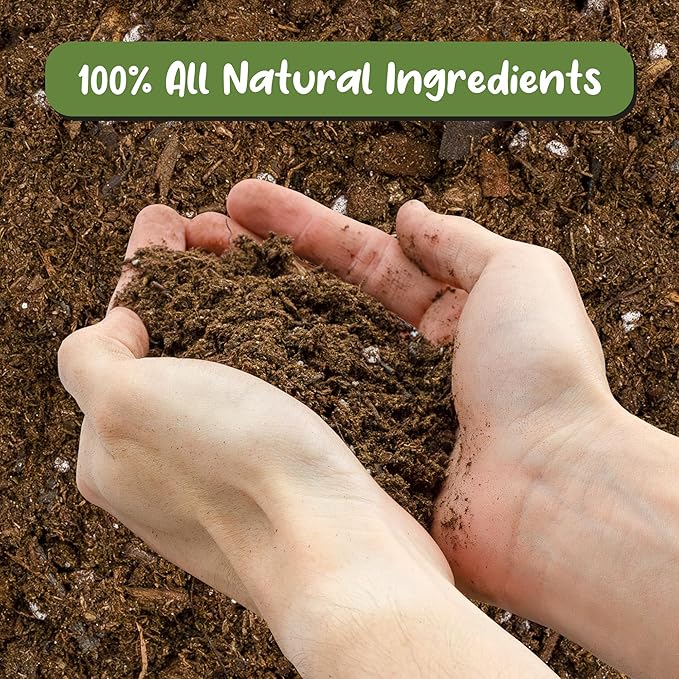 Soil Sunrise Anthurium Plant Potting Soil Mix (8 Quarts) Indoor Houseplant Custom Blend for Flowering Anthuriums