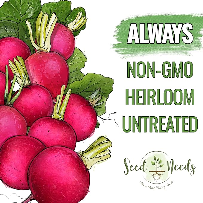 Seed Needs Radish Seeds for Planting German Giant Radishes - Non-GMO, Heirloom & Untreated - Grow a Home Grown Vegetable Garden - Cool Weather Crops (5 Packs)
