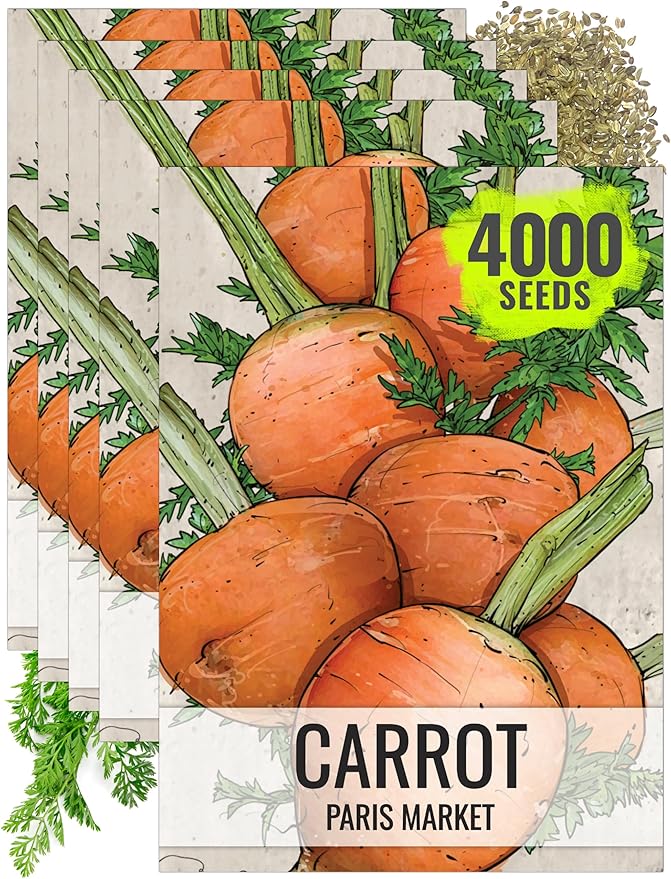Seed Needs Carrot Seeds for Planting Paris Market Carrots - Non-GMO Heirloom & Untreated Annual Cool Weather Crops - Grow a Home Grown Outdoor Vegetable Garden (5 Packs)
