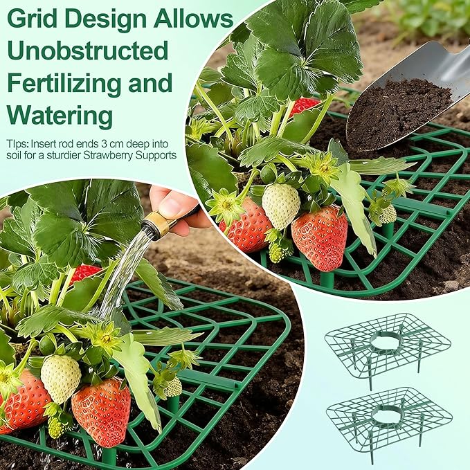 10Pack Strawberry Plant Support, Strawberry Plant Stand Holder Reusable Strawberry Plant Protector Greenhouse Strawberry Trellis Accessories Strawberry Planter for Strawberry Garden Plants