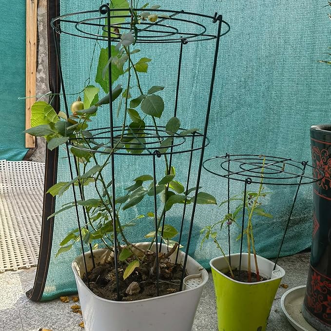 TCBWFY 8 Sets Peony Support Cage, 12" Dia x 24" High, Heavy Duty Metal Plant Support, Grow Through Hoops Grids, 4mm Legs, Green, Round