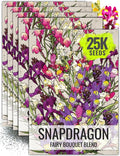 Seed Needs Snapdragon Seeds for Planting Fairy Bouquet Linaria maroccana Flowers - Heirloom & Open Pollinated Wildflower Seed to Plant a Butterfly Garden with Low Growing Flowers