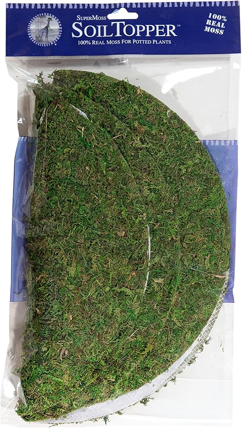 SuperMoss (26315) Moss Soil Toppers (Place Mats), Fresh Green, 12" (3 units)