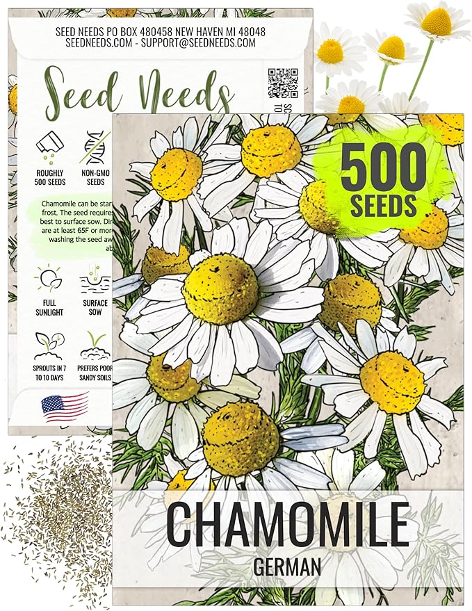 Seed Needs, German Chamomile Seeds - 500 Heirloom Seeds for Planting Matricaria recutita - Medicinal Herb for Indoor/Outdoor Gardens, Non-GMO & Untreated (1 Pack)