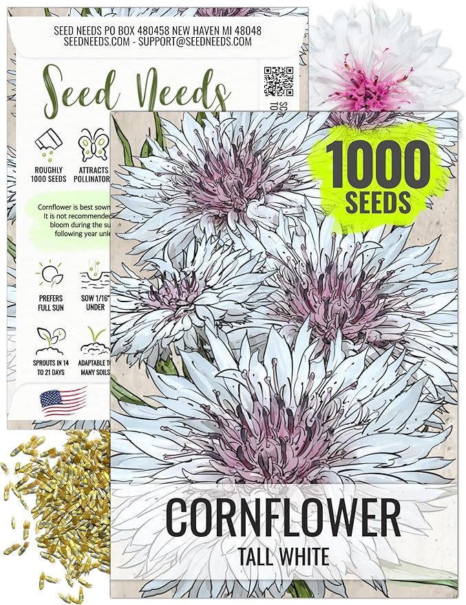 Seed Needs Cornflower Seeds for Planting Tall White Bachelor's Button Wildflowers - Heirloom & Open Pollinated Flowers to Plant and Grow an Outdoor Home Grown Butterfly Garden (1 Pack)
