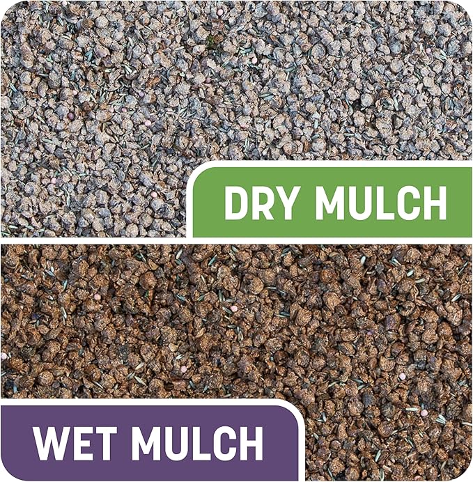 Pennington Smart Patch Dense Shade Mix 10 lb