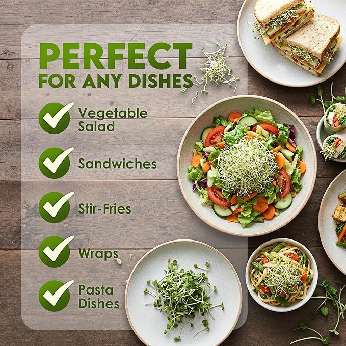 Nature Jims Sprouts Alfalfa Seeds – Non-GMO Organic Sprout Growing Kit for Planting – Premium Resealable Bag for Fresh Homegrown Sprouting Seeds – Rich in Nutrients, Vitamins, Fiber & Minerals – 16oz