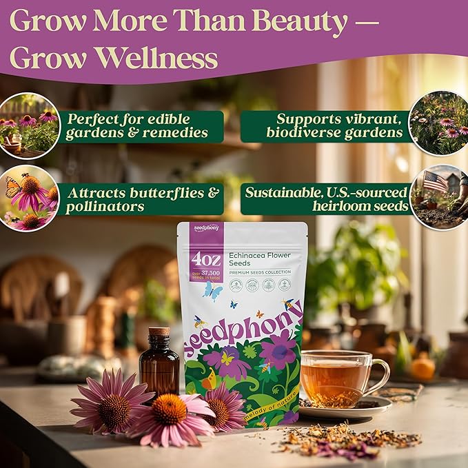 Seedphony Echinacea Seed Pack 4 oz - 37,500 Non-GMO Heirloom Echinacea Seeds for Planting, Perennial Flowers in Waterproof Seed Packet, Coneflower Seeds for Planting Garden Indoor & Outdoor Gardening