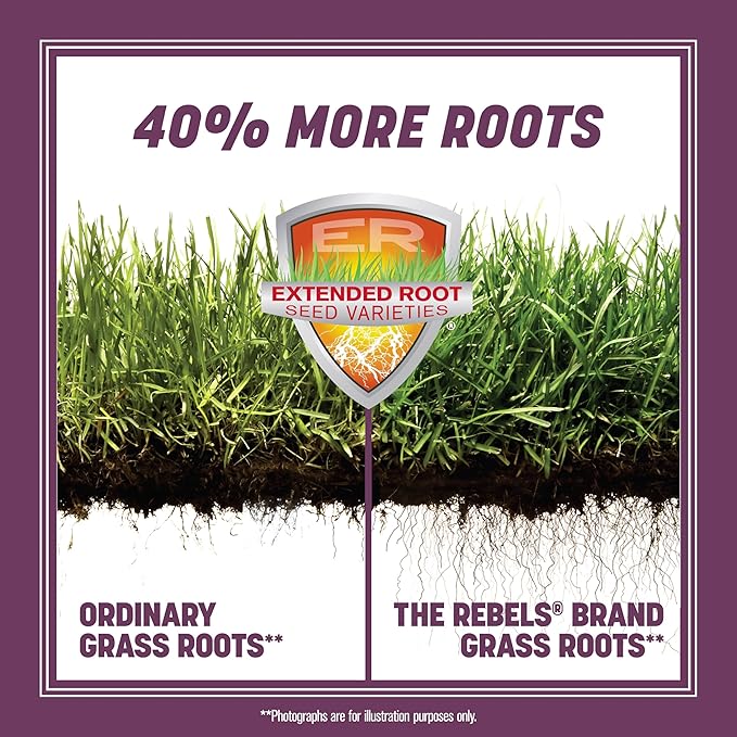 Pennington The Rebels Tall Fescue Shady Grass Seed Mix 20 lb