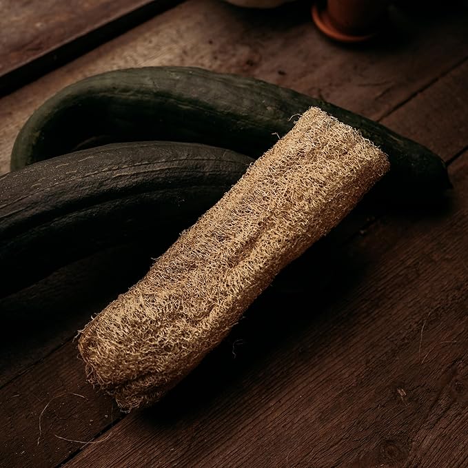 Luffa Gourd - 25 Seeds - Heirloom Loofah Variety, Make Your Own Dishclothes, Non-GMO Heirloom Gourd Seeds for Planting in The Home Garden, Thresh Seed Company