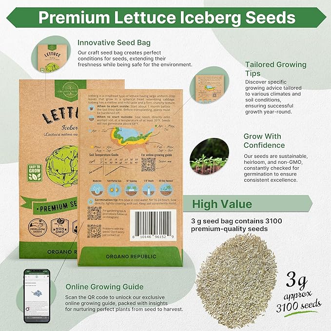 Lettuce Iceberg Seeds Pack 3G - Over 3,100 Non-GMO Heirloom Lettuce Seeds for Planting Greens in Individual Seed Packet, Greens Seeds for Planting Home Garden Indoor & Outdoor Gardening