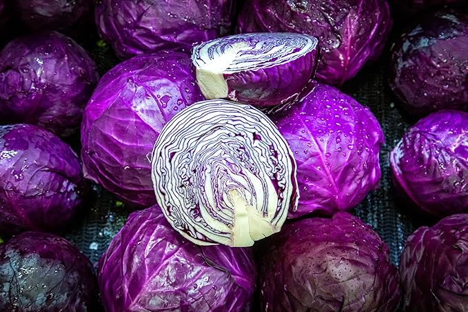 Red Acre Cabbage Seeds for Planting – Plant & Grow Heirloom Red Acre Cabbage in Home Outdoor Vegetable Garden, Brassica oleracea VAR. capitata– 1 Packet Approx 200 Seeds