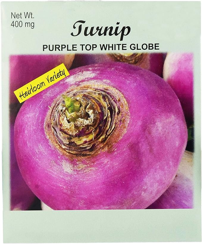 Set of 25 Turnip Purple Top White Globe Vegetable Seed Packs - 100% GMO Free - Heirloom - Black Duck Brand (25, Turnip- Purple Top White Globe)