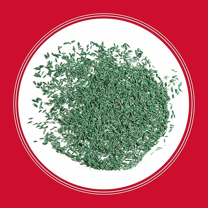 Pennington The Rebels Tall Fescue Grass Seed Mix 3 lb