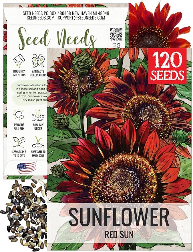 Seed Needs Sunflower Seeds for Planting Red Sun Sunflowers - Heirloom & Open Pollinated Annual Flowering Plants to Grow a Butterfly Garden to Attract Pollinators (1 Pack)