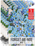 Seed Needs Blue Forget Me Not Seeds for Planting Myosotis Flowers - Heirloom & Open Pollinated Wildflowers to Plant an Outdoor Butterfly Garden to Attract Pollinators (5 Packs)