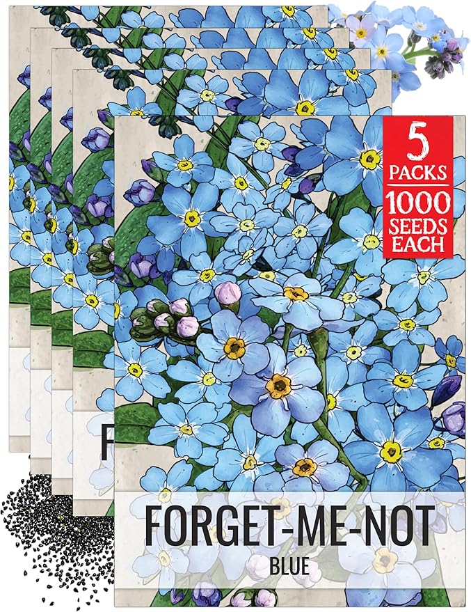 Seed Needs Blue Forget Me Not Seeds for Planting Myosotis Flowers - Heirloom & Open Pollinated Wildflowers to Plant an Outdoor Butterfly Garden to Attract Pollinators (5 Packs)