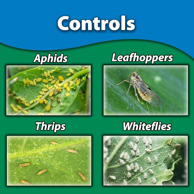 Monterey Fruit Tree & Vegetable Systemic Soil Drench Bundled with Garden Measure Spoon, Apply Once for Season Long Control, Imidacloprid Systemic Insecticide - 1 Gallon
