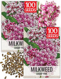 Seed Needs Pink Swamp Milkweed Seeds for Planting - Heirloom & Untreated - Grow a Butterfly Garden to Attract Monarch Butterflies & Pollinators (2 Packs)