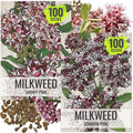 Seed Needs Milkweed Seeds for Planting Showy Pink/Common Pink Asclepias Flowers - Heirloom Wildflowers to Attract Monarch Butterflies to a Butterfly Garden
