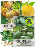 Seed Needs Cucamelon Seeds/Lemon Cucumber Seeds for Planting - Non-GMO, Heirloom & Untreated Vegetables - Grow a Home Grown Outdoor Vegetable Garden (2 Pack Collection)