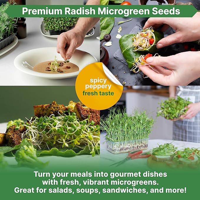 Organo Republic Radish Sprouting & Microgreens Seeds - Non-GMO, Heirloom Sprout Seeds Kit, 1lb Resealable Bag for & Growing Microgreens in Soil, Coconut Coir, Aerogarden & Hydroponic System.