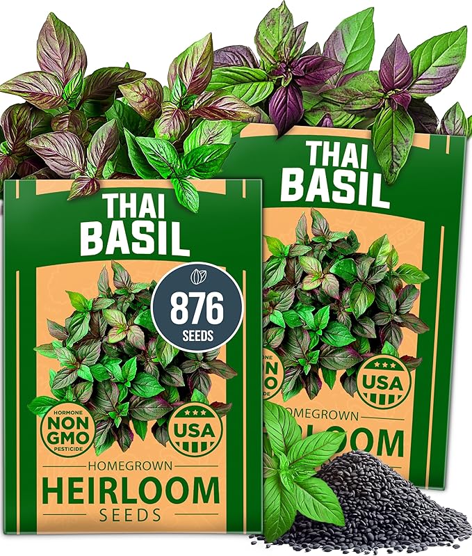 HOME GROWN 4-Pack Herb Seeds Bundle – 15 Culinary Herbs (4,500+), White Sage (646), Rosemary (300), Thai Basil (876) – Non-GMO, USA Heirloom Indoor Outdoor Garden Kit for Growing Fresh Herbs