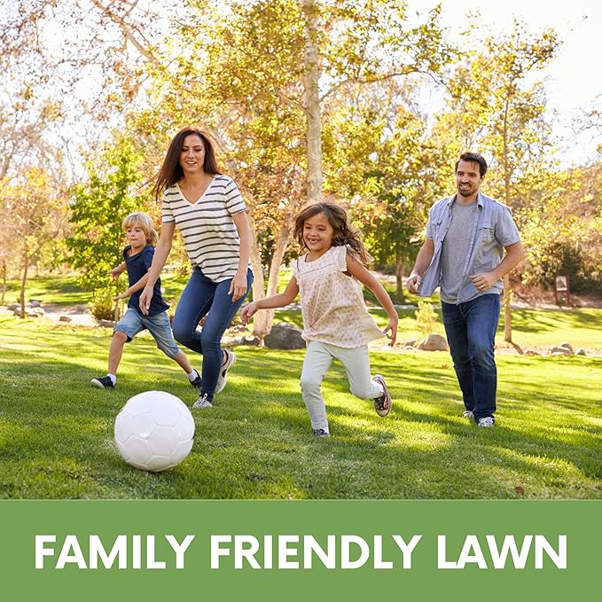 Flawn Seed Kits Simple Lawn Mow Less Fine Fescue Grass Seed, 2 lbs, Low Maintenance, Shade Tolerant, Covers up to 1000 Sqft