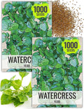 Seed Needs Watercress Seeds for Planting Nasturtium officinale - Non-GMO Heirloom & Untreated - Plant Your own Home Grown Culinary Herb Garden Indoors or Outdoors (2 Packs)